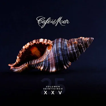 Café del Mar, volumen veinticinco by Various Artists - album cover