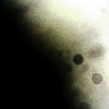 Minuscule Prelude for an Ephemeral Closing