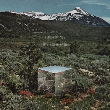 This Is All We Know by Number One Gun - album cover