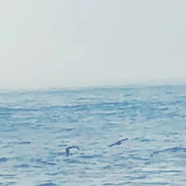 Ocean View