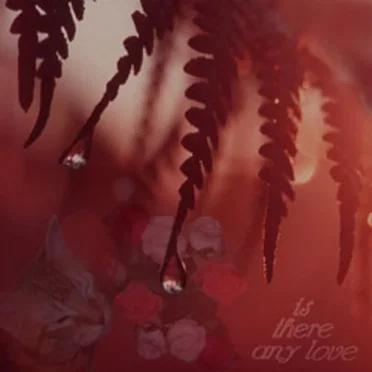 Is There Any Love by Liz - album cover