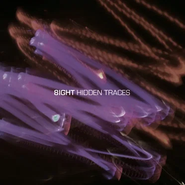 Hidden Traces by 8IGHT - album cover