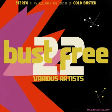 Bust Free 22 by Various Artists - album cover