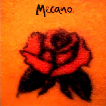 Una rosa es una rosa