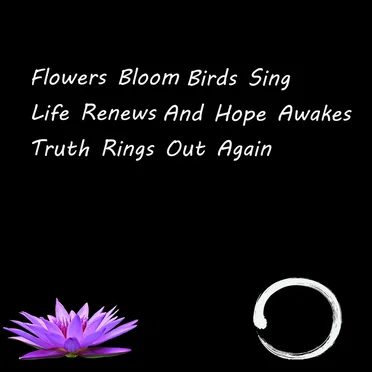 Haiku by Zen Wires - album cover