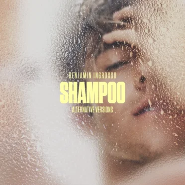 Shampoo (alternative versions)