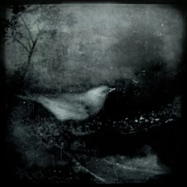 #sc001 by keva - album cover