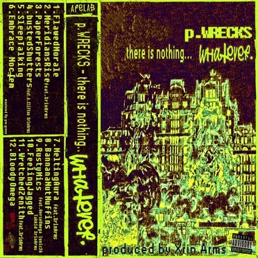 There is Nothing... whatever by p.WRECKS - album cover