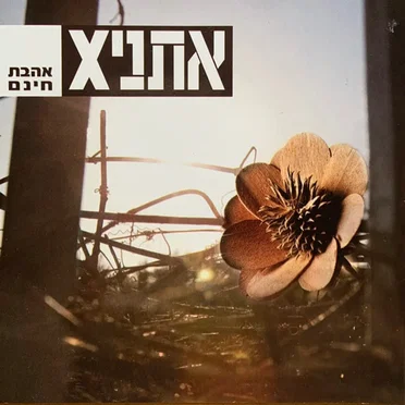 אהבת חינם