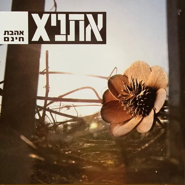 אהבת חינם