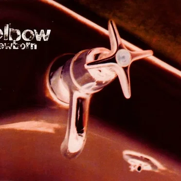 Newborn