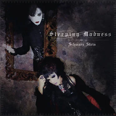 Sleeping Madness by Schwarz Stein - album cover