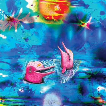 Pink Dolphins by Anteloper - album cover
