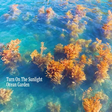 Ocean Garden by Turn On the Sunlight - album cover