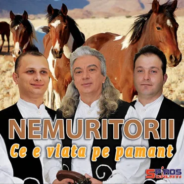 Ce e viața pe pământ by Nemuritorii - album cover