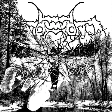 MOTH by MOTH - album cover