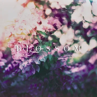 Blossom