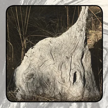 Moonlit Missive #83