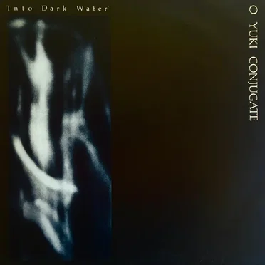 Into Dark Water by O Yuki Conjugate - album cover