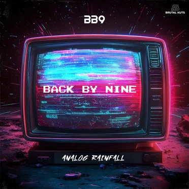 Analog Rainfall by BB9 - album cover
