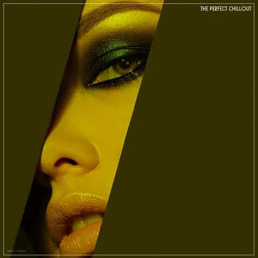 The Perfect Chillout by Various Artists - album cover