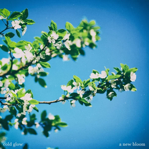 A New Bloom