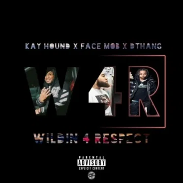 Wildin 4 Respect by Dthang - album cover