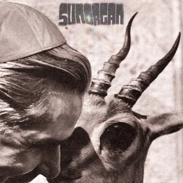 SUN ORGAN