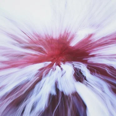 Hippocampus by Reports of Oval - album cover