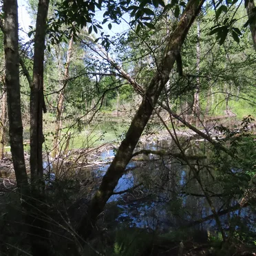 Lake Forest Park, WA