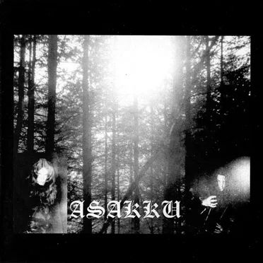 Hordes of Hate / Endless Woods