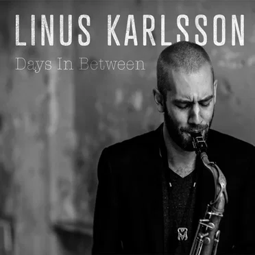 Days in Between by Linus Karlsson - album cover