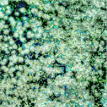 Floor-Ox Anonymous