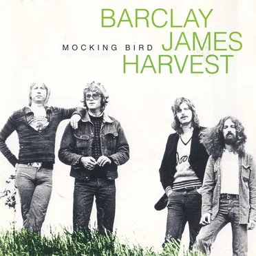 Mocking Bird