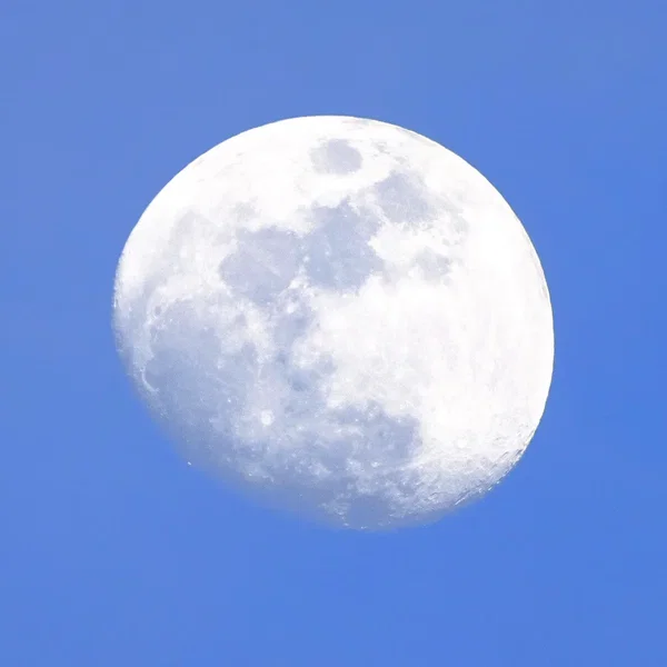 Japan Moon Landing