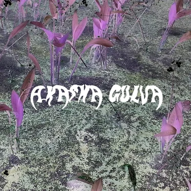 Swamp Vibration