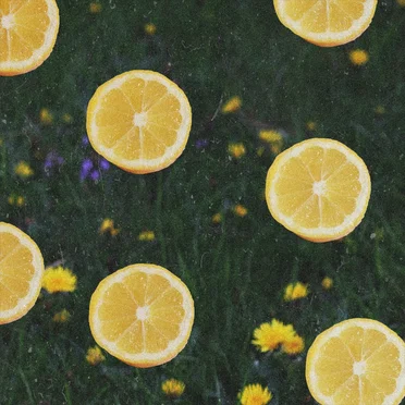 Lemontime by Snuji - album cover