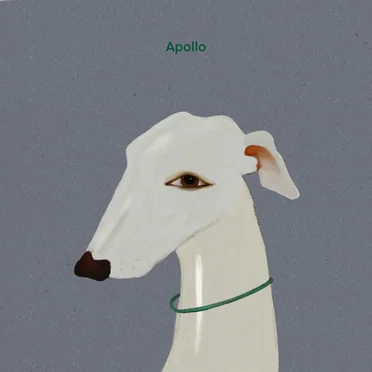 Apollo