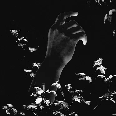 Dead Precedence