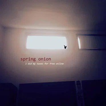 I Did My Taxes for Free Online by Spring Onion - album cover
