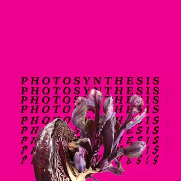 Photosynthesis