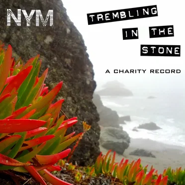 Trembling in the Stone: A Charity Record by Nym - album cover