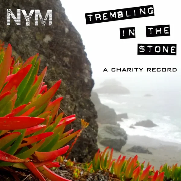 Trembling in the Stone: A Charity Record