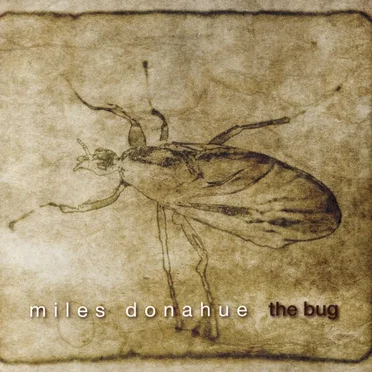 The Bug
