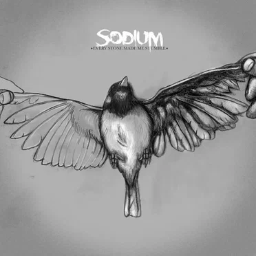 Every Stone Made Me Stumble by Sodium - album cover