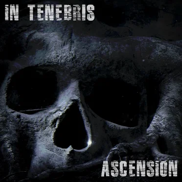Ascension by Stahlschlag - album cover