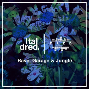 Italdred x Dred Collective - Rave, Garage & Jungle by Various Artists - album cover