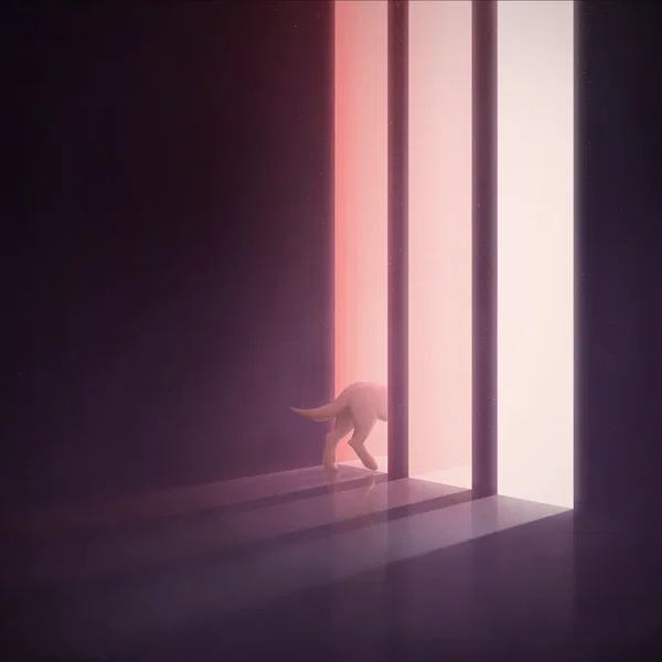 I wish I did things different.