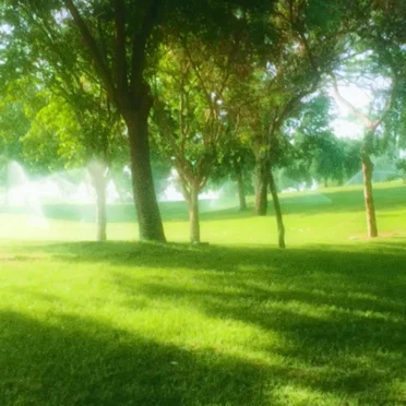 as you were dreaming, the world whispered softly (demo)