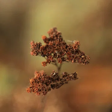 сегодня дурной день